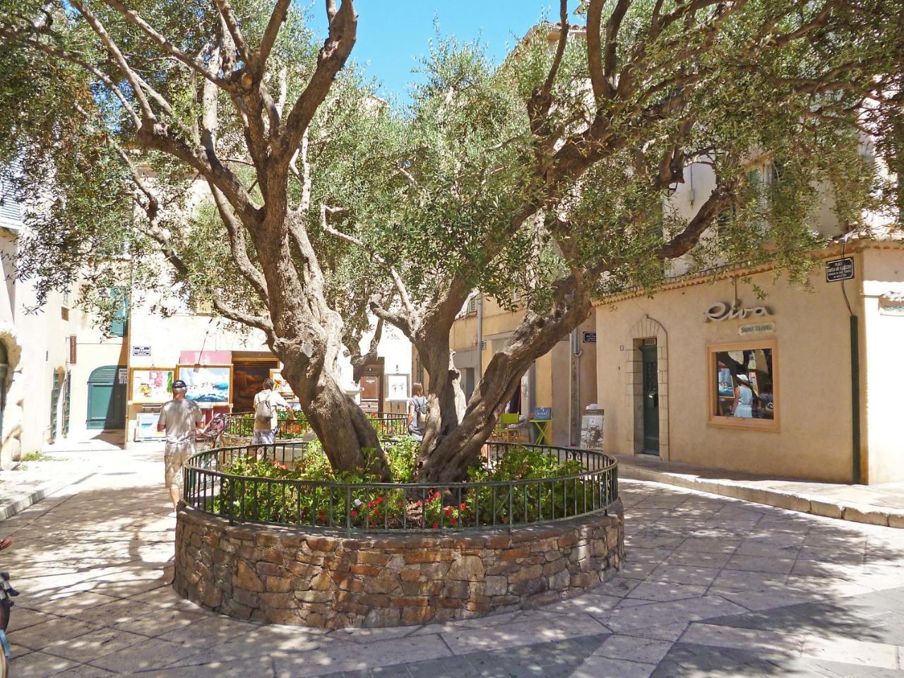 Apartment Eden Parc-4 By Interhome Saint-Tropez Exterior foto